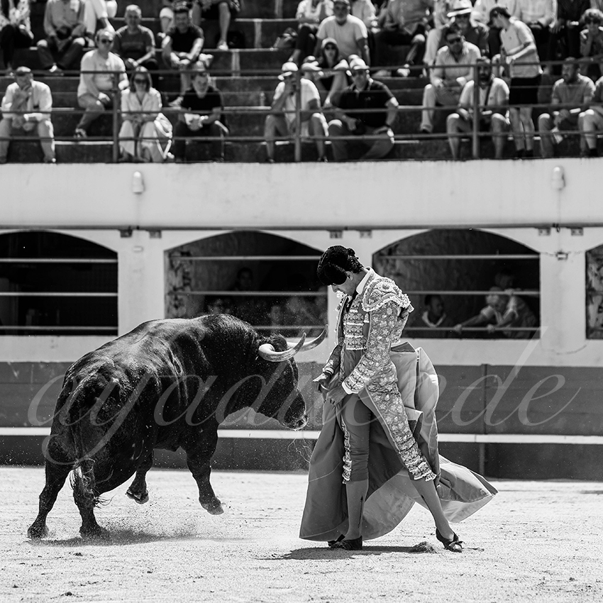 20250531 ales 026 fd