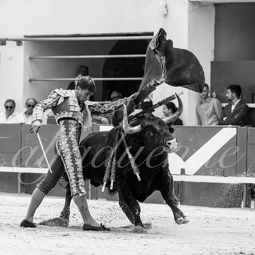 20250531 ales 024 fd