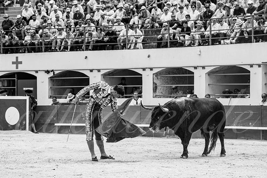 20250531 ales 023 fd