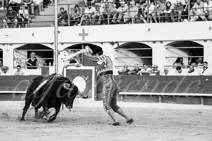 20250531 ales cuadrillas 002 copie