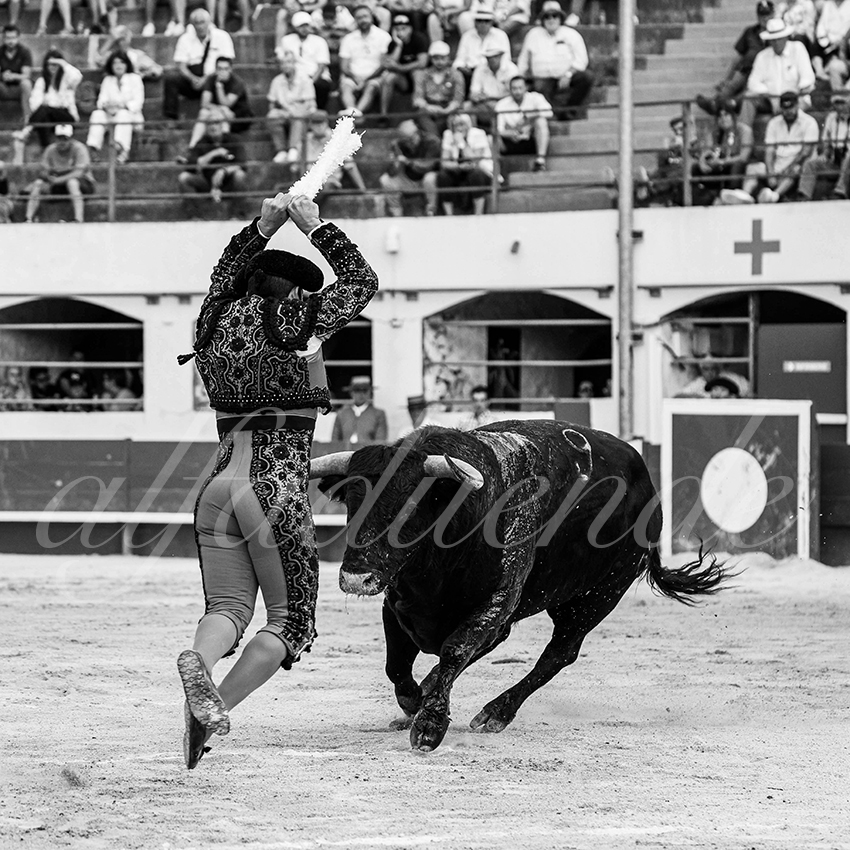 20250531 ales cuadrillas 001 copie