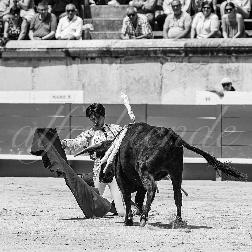 20250606 nimes nsp 011 fd copie