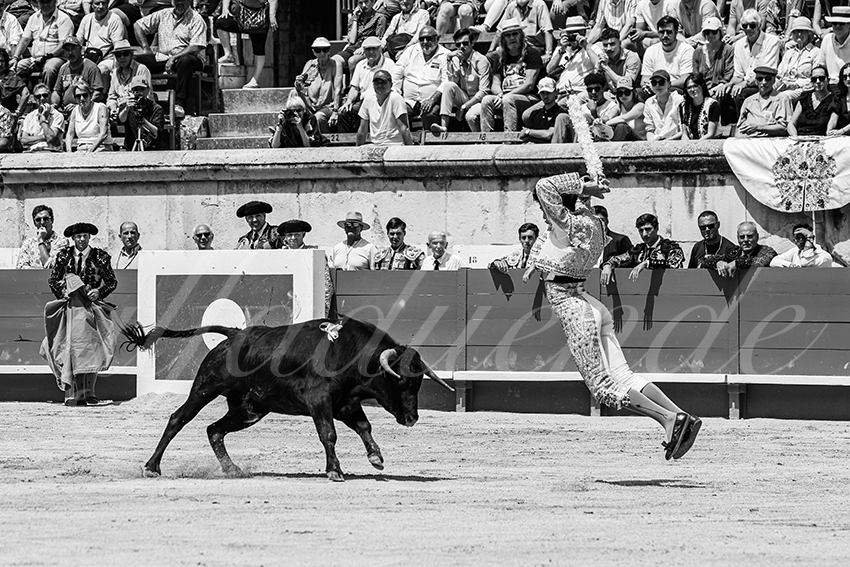 20250606 nimes nsp 010 fd copie