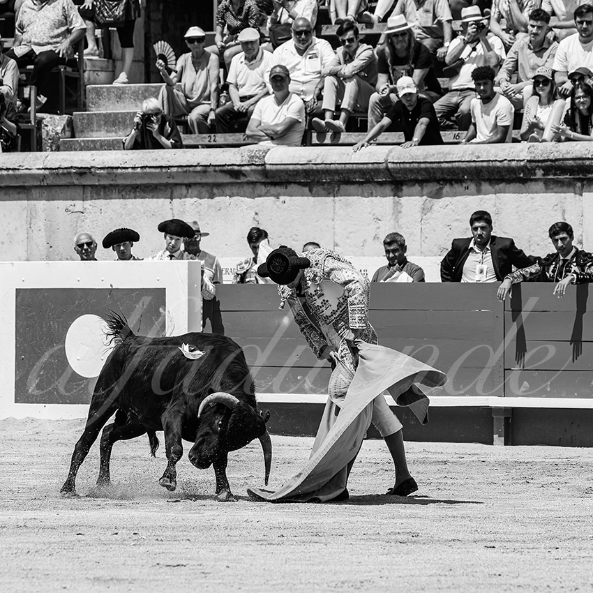 20250606 nimes nsp 009 fd copie