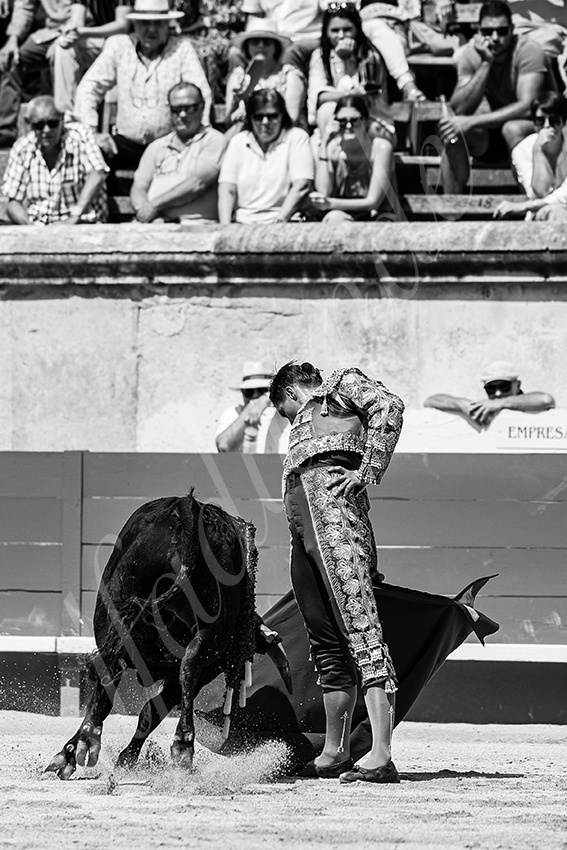 20250606 nimes nsp 008 fd copie