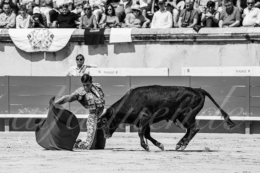 20250606 nimes nsp 007 fd copie