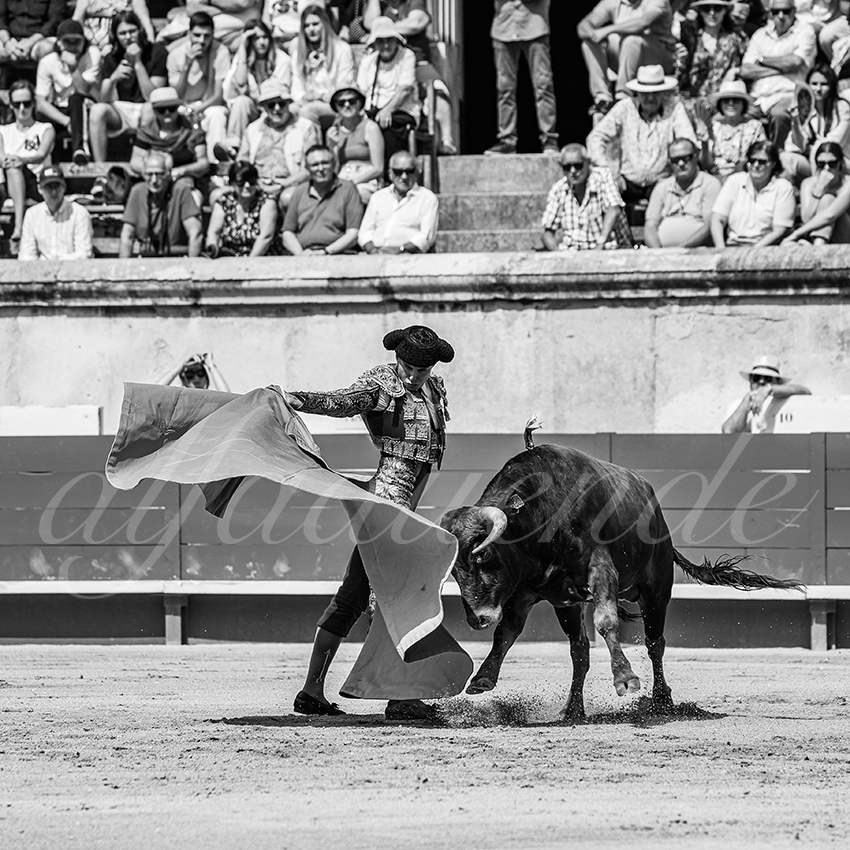 20250606 nimes nsp 006 fd copie