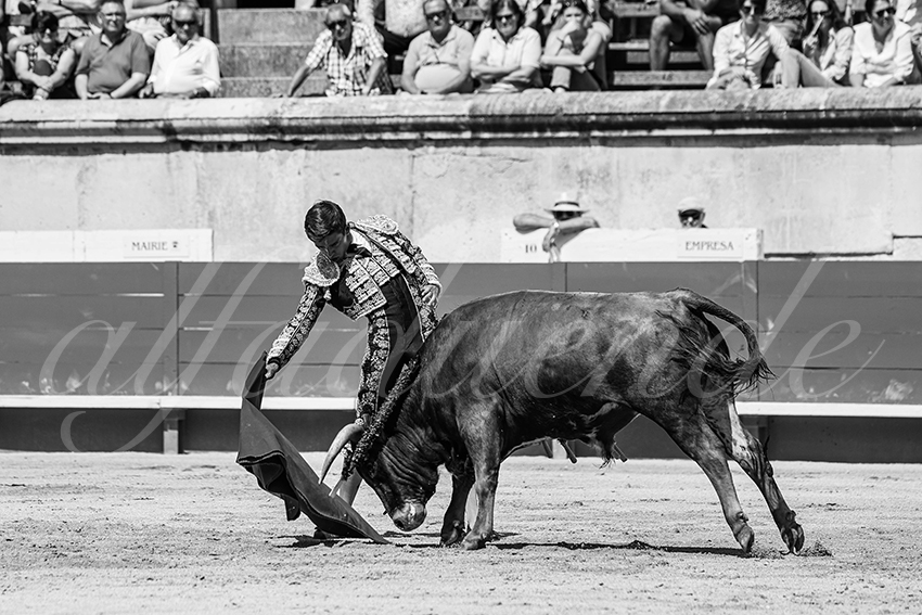 20250606 nimes nsp 005 fd copie