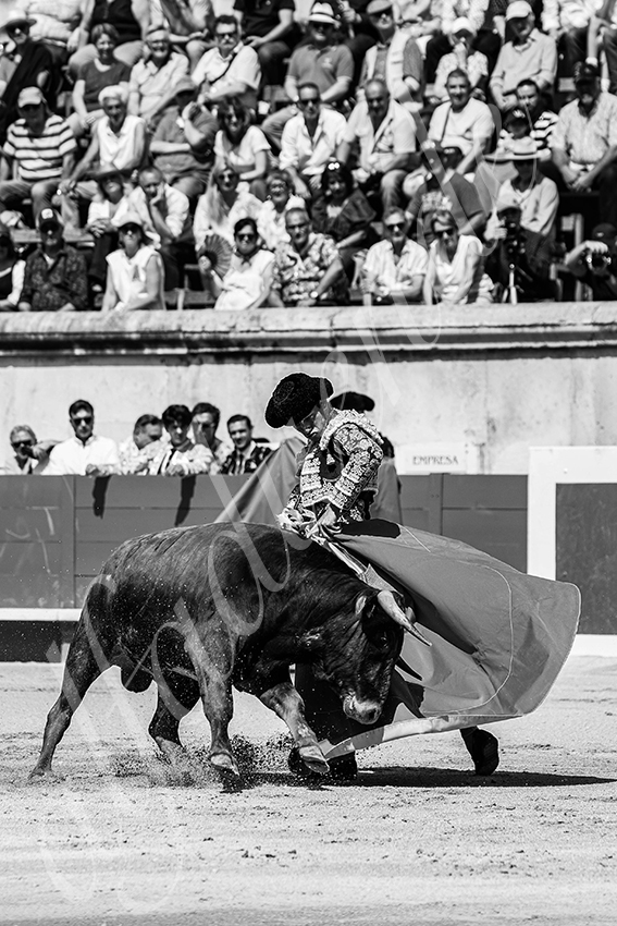 20250606 nimes nsp 004 fd copie