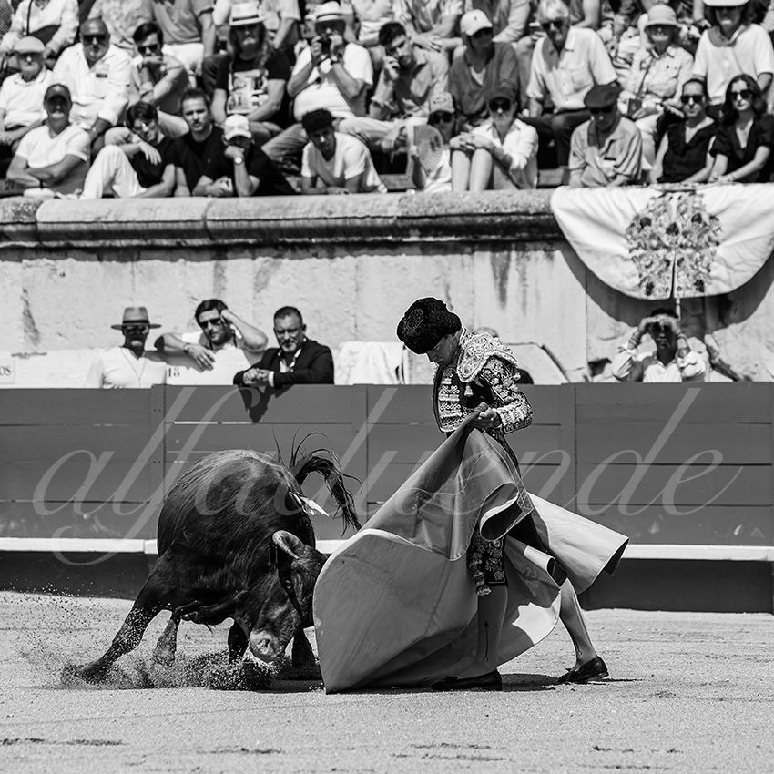 20250606 nimes nsp 003 fd copie