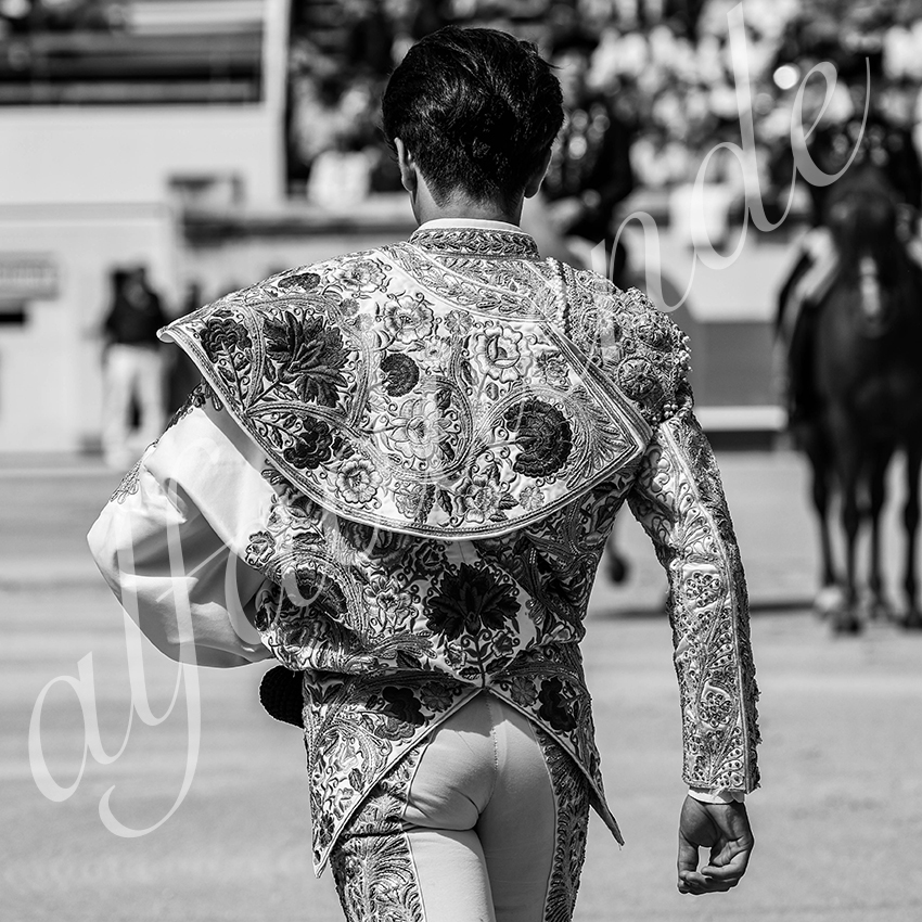 20250606 nimes nsp 002 fd copie