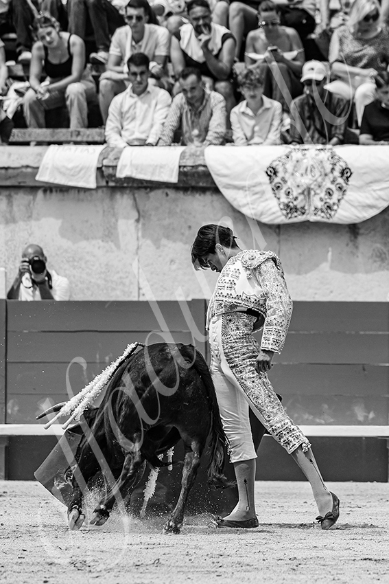 20250606 nimes nsp 019 fd copie