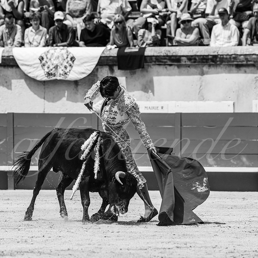 20250606 nimes nsp 018 fd copie