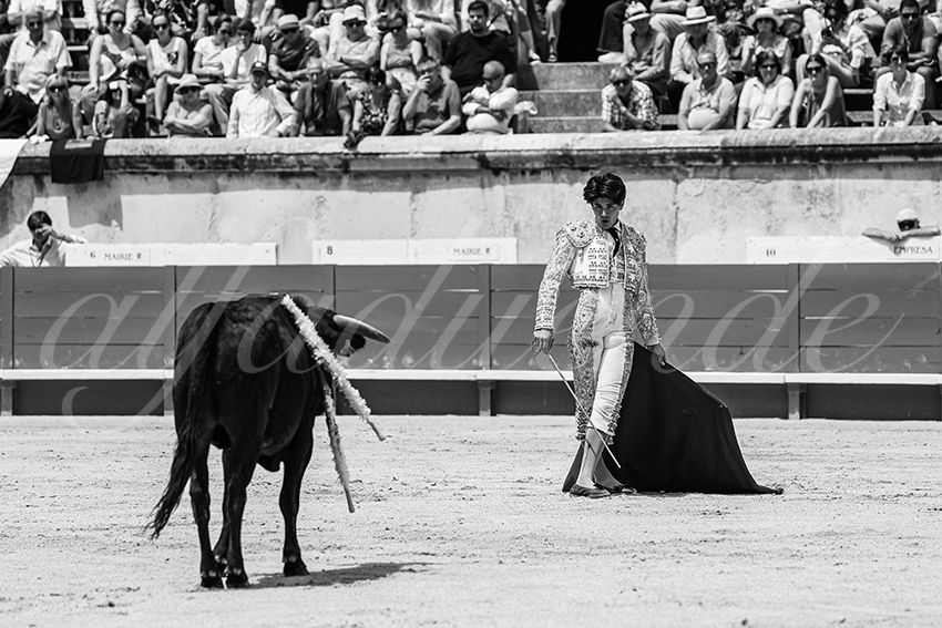 20250606 nimes nsp 017 fd copie