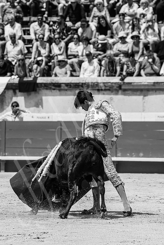 20250606 nimes nsp 016 fd copie