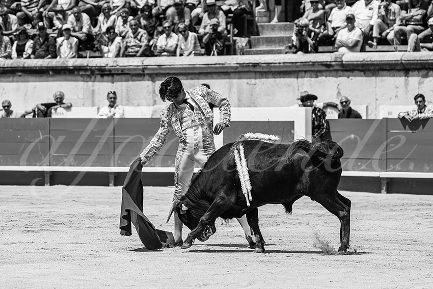 20250606 nimes nsp 015 fd copie