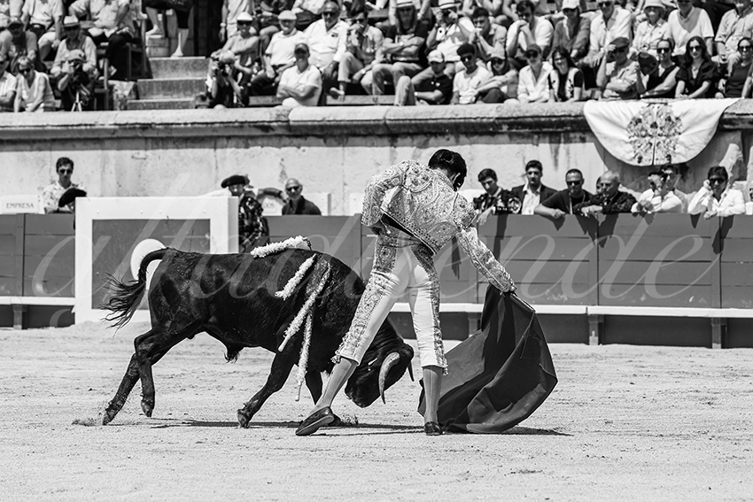 20250606 nimes nsp 014 fd copie