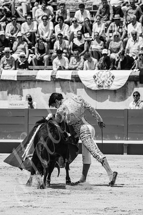 20250606 nimes nsp 013 fd copie