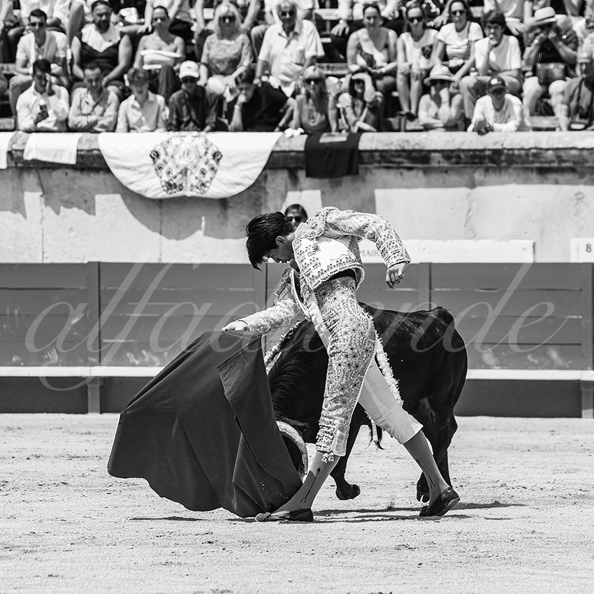 20250606 nimes nsp 012 fd copie