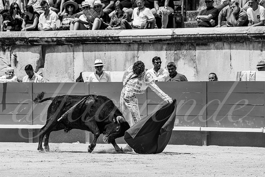 20250606 nimes nsp 030 fd copie