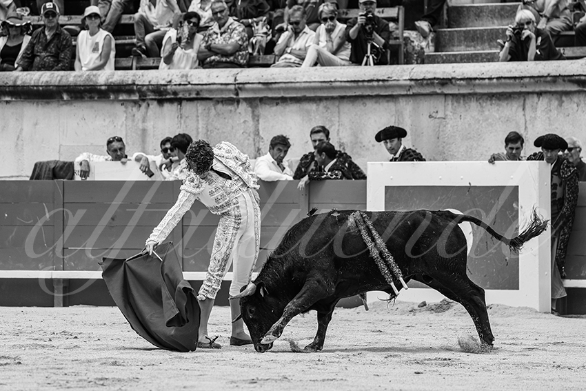 20250606 nimes nsp 029 fd copie