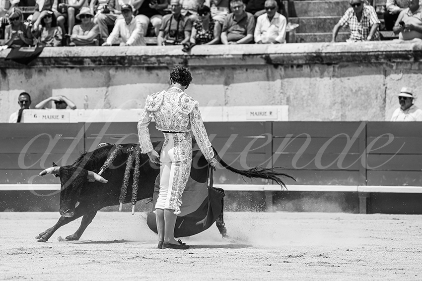 20250606 nimes nsp 028 fd copie