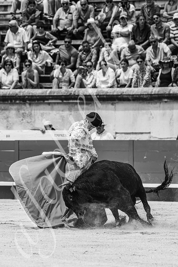 20250606 nimes nsp 027 fd copie