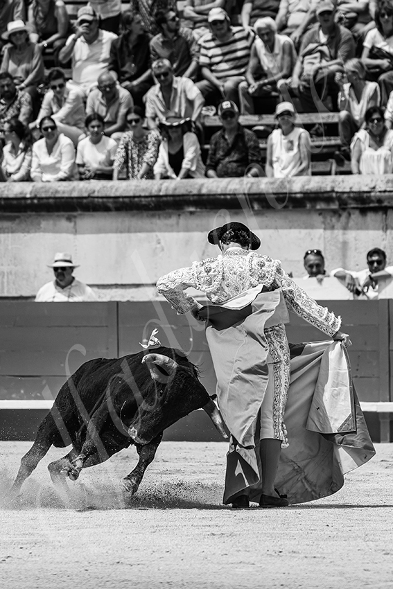 20250606 nimes nsp 026 fd copie