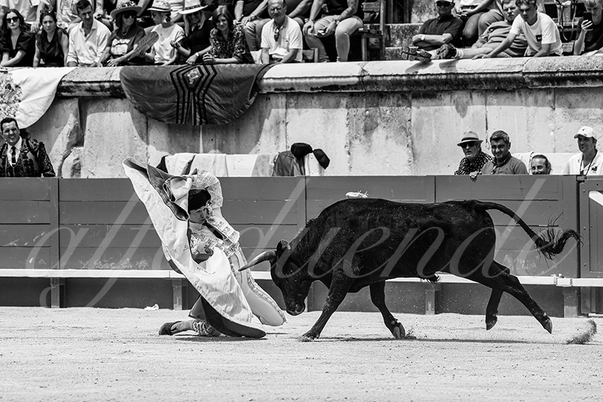 20250606 nimes nsp 025 fd copie