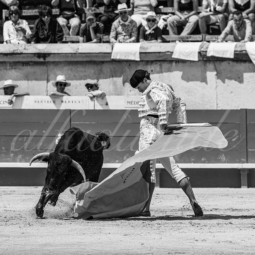 20250606 nimes nsp 024 fd copie