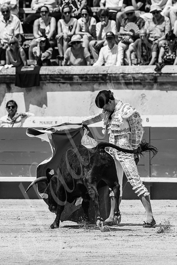 20250606 nimes nsp 023 fd copie