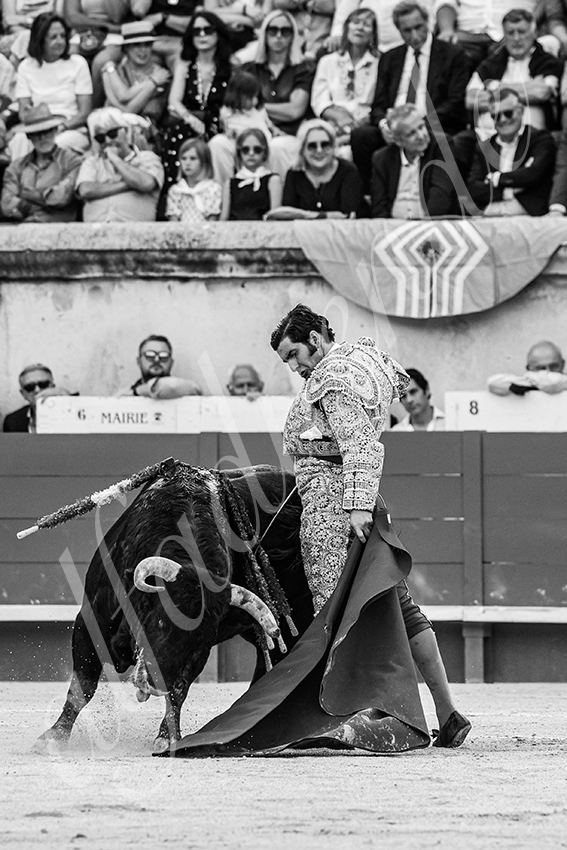 20250606 nimes 011 fd