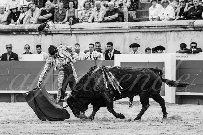 20250606 nimes 010 fd