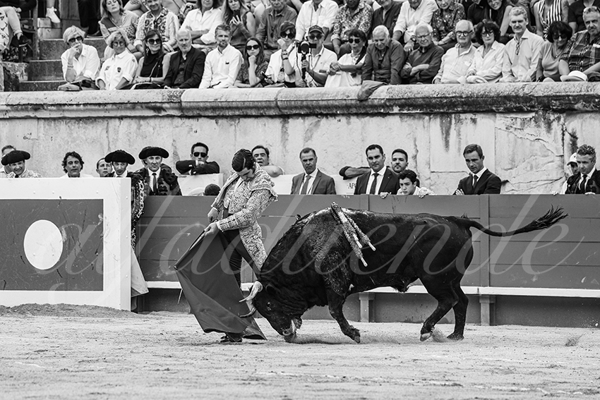 20250606 nimes 009 fd