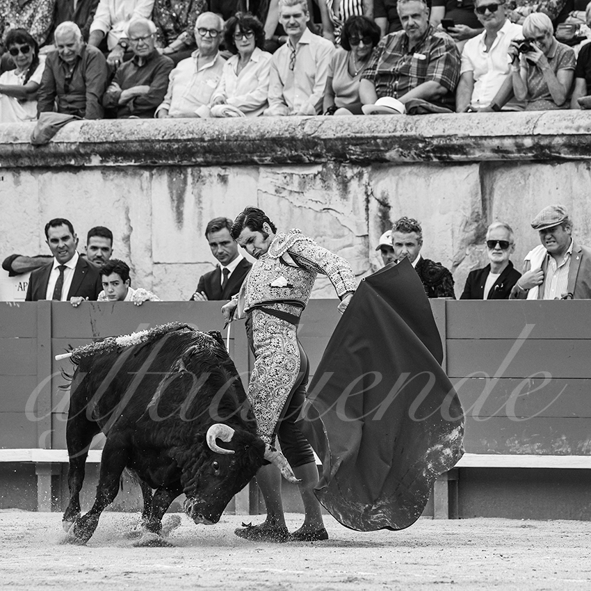 20250606 nimes 008 fd