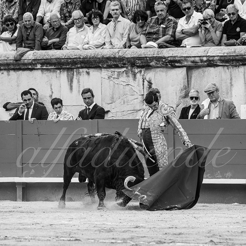 20250606 nimes 007 fd