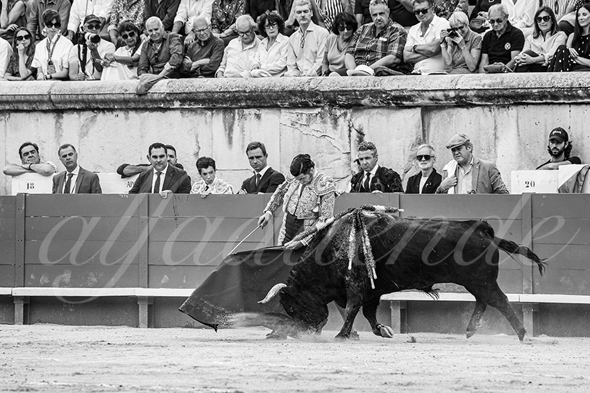 20250606 nimes 006 fd