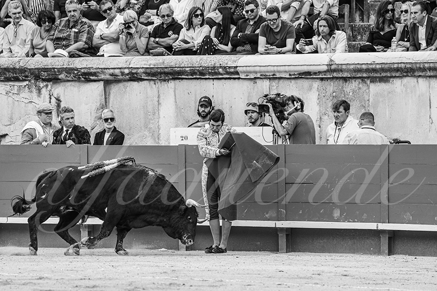 20250606 nimes 005 fd