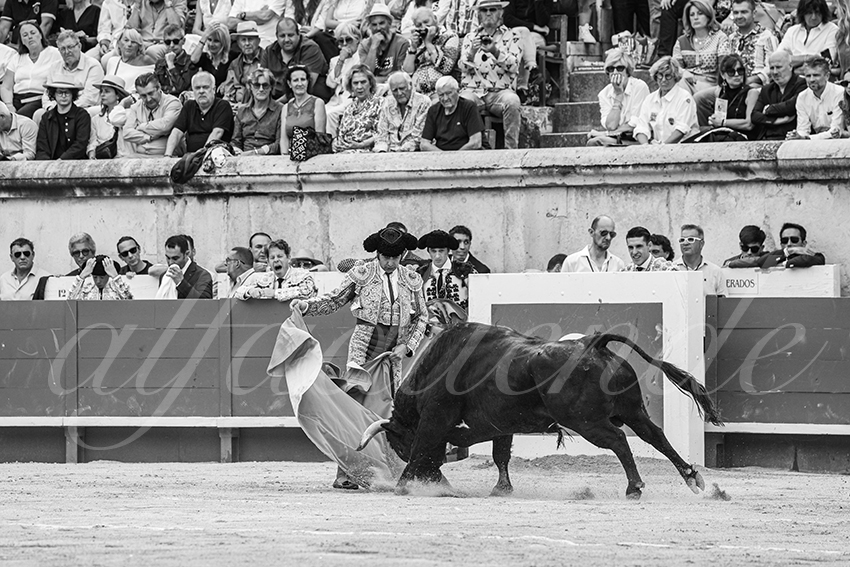 20250606 nimes 004 fd