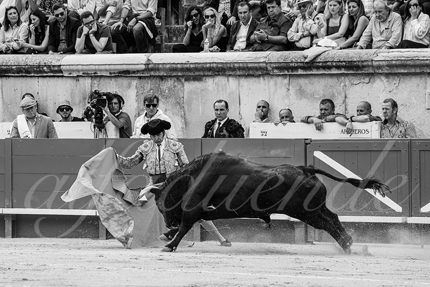 20250606 nimes 003 fd