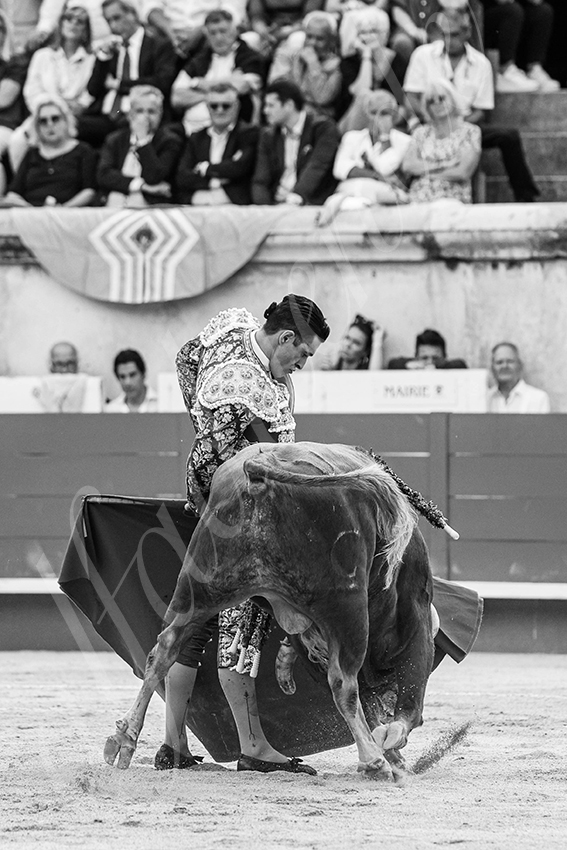 20250606 nimes 022 fd