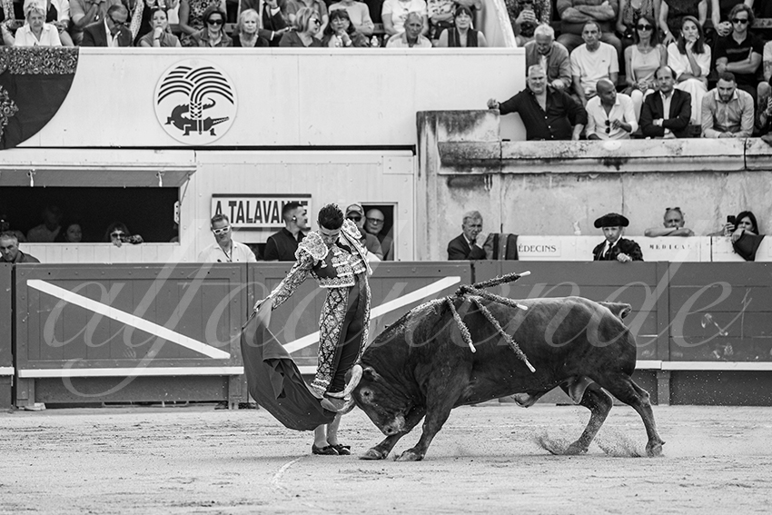 20250606 nimes 021 fd