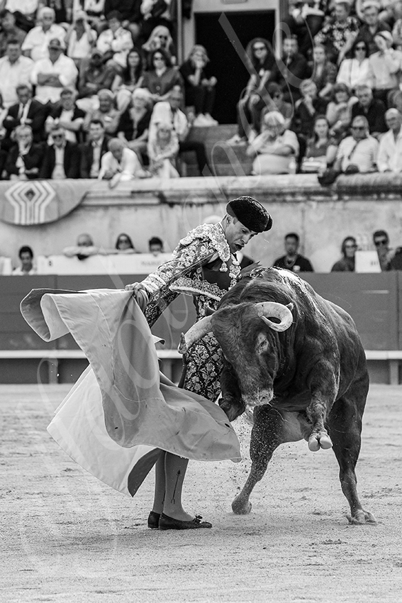 20250606 nimes 020 fd