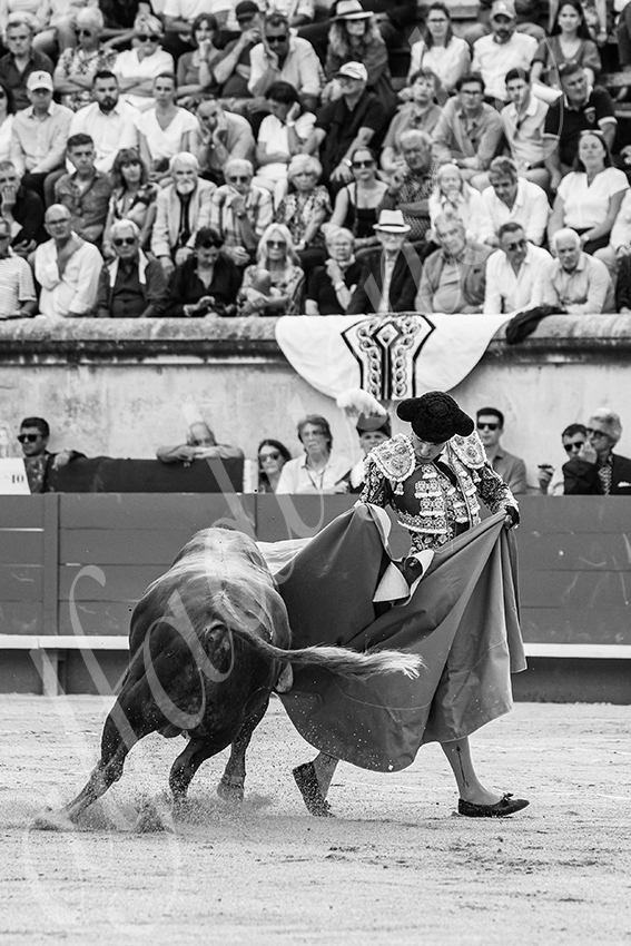 20250606 nimes 019 fd