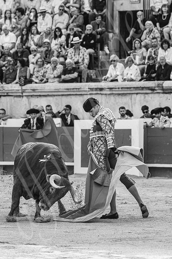 20250606 nimes 018 fd