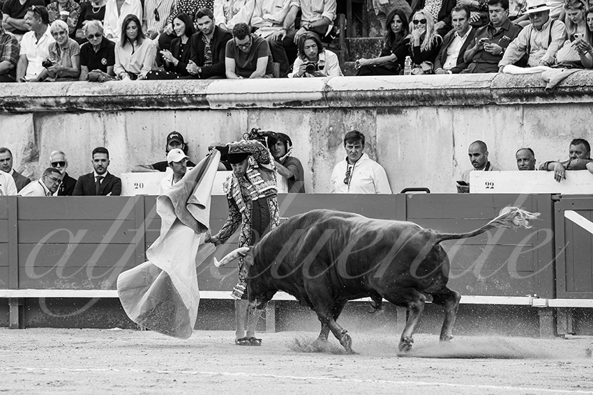 20250606 nimes 017 fd