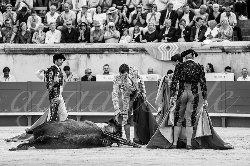 20250606 nimes 016 fd