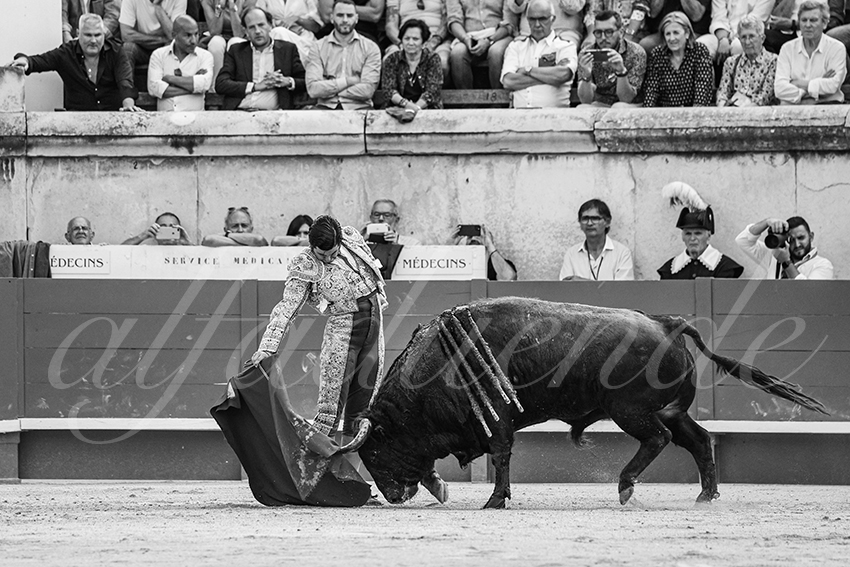 20250606 nimes 015 fd