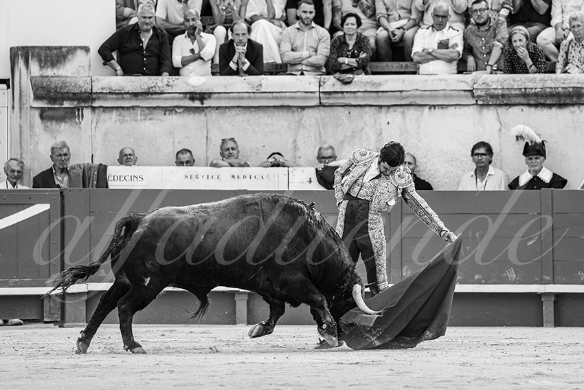 20250606 nimes 014 fd