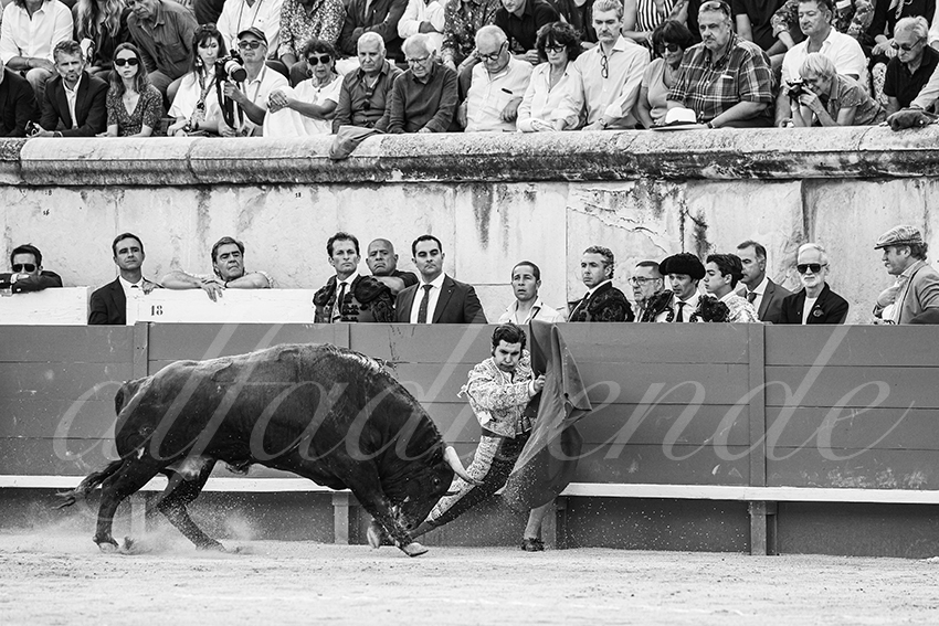 20250606 nimes 013 fd